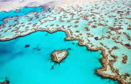 World Heritage Listed Great Barrier Reef -QLD